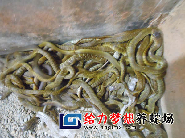 ˮ������